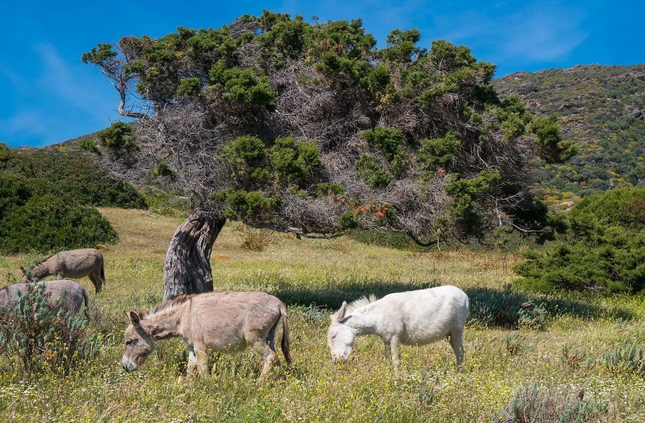 La Locanda Del Parco - Ospitalita & Ittiturismo Porto Torres Inn